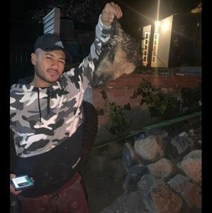 Meet your Posher, Randy